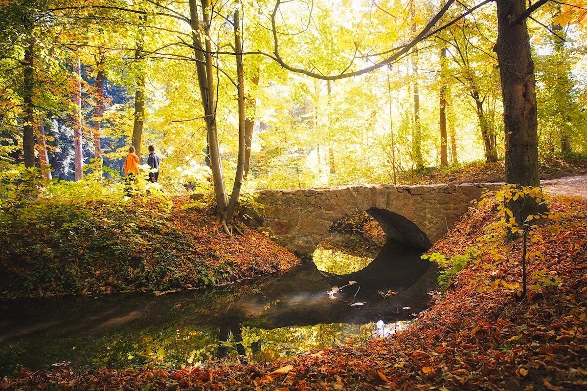 les-podzim (1).jpg